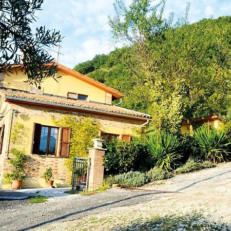 Villa Mischianti Губбио Экстерьер фото