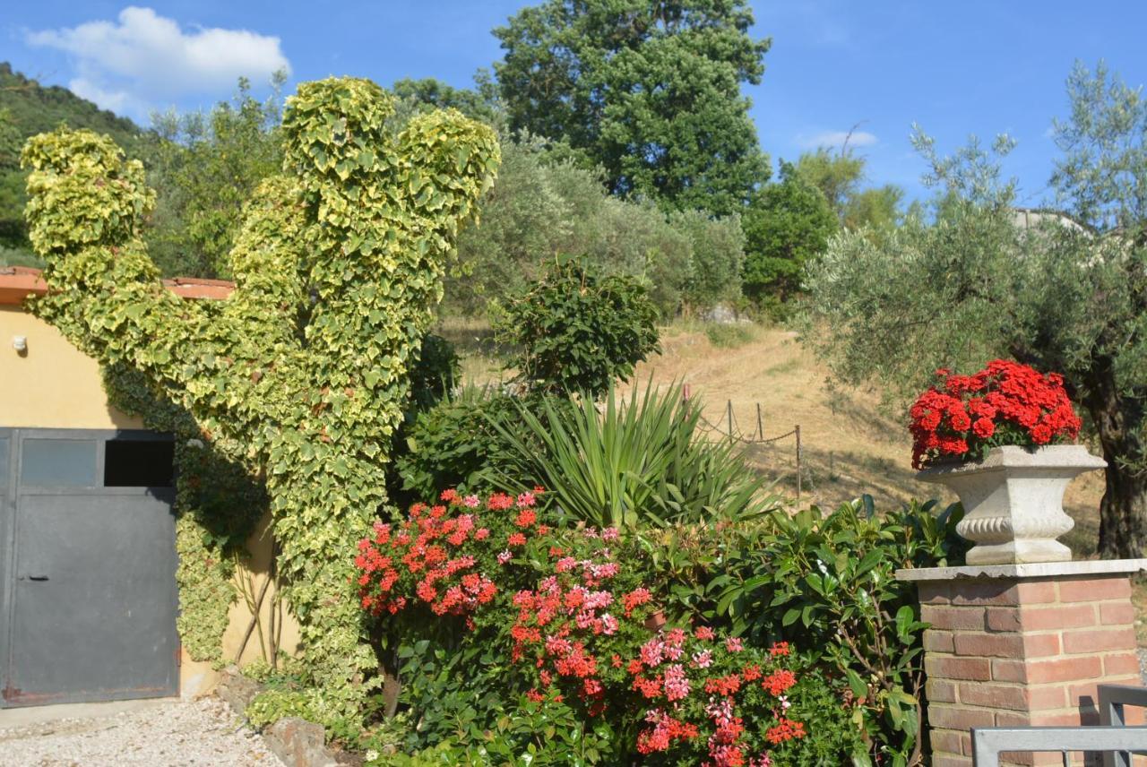 Villa Mischianti Губбио Экстерьер фото