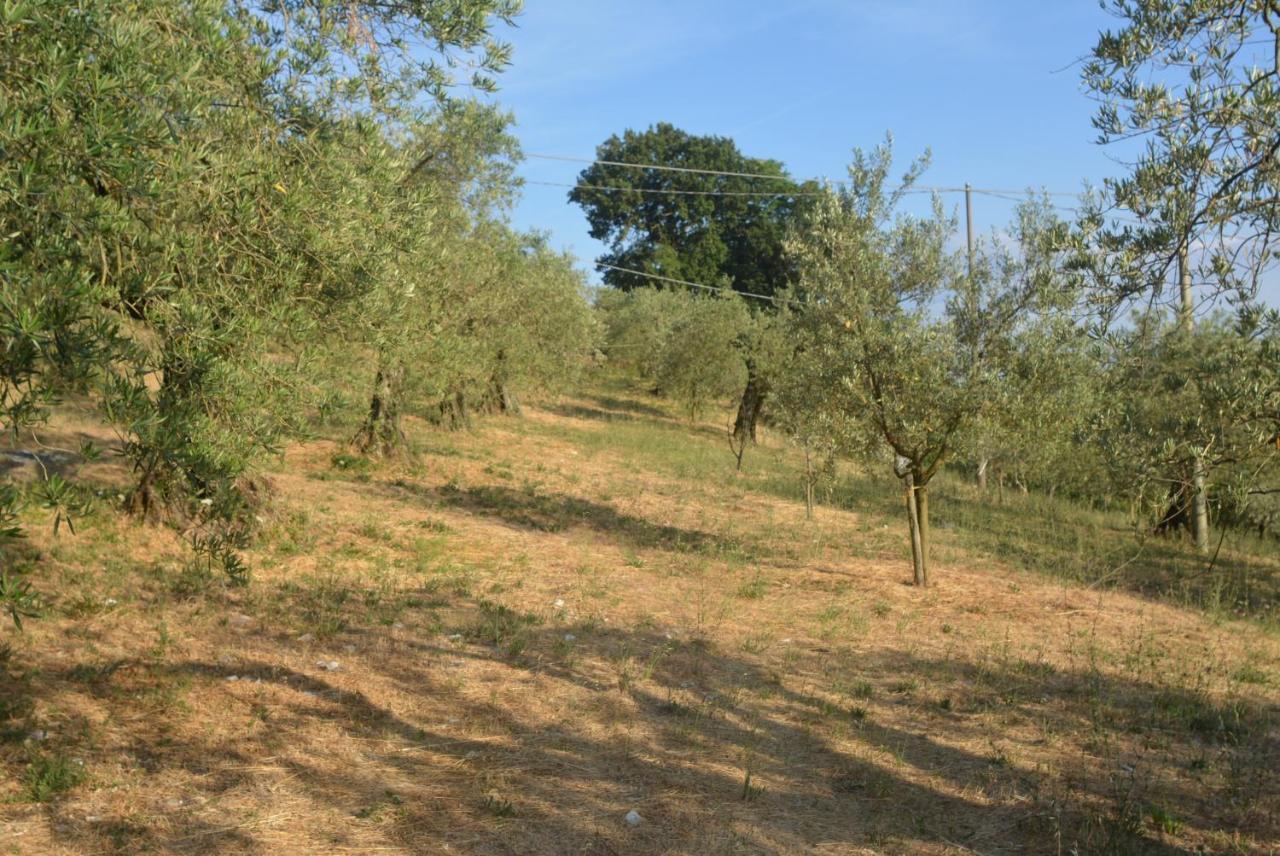 Villa Mischianti Губбио Экстерьер фото