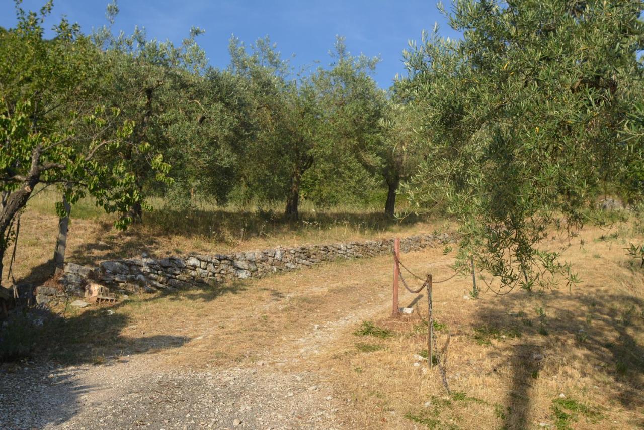 Villa Mischianti Губбио Экстерьер фото
